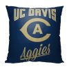 UC Davis Alumni Pillow