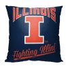 Illinois Illinois Alumni Pillow